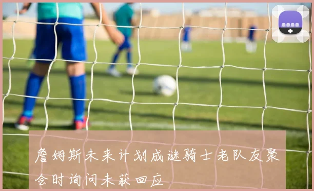 詹姆斯未来计划成谜骑士老队友聚会时询问未获回应
